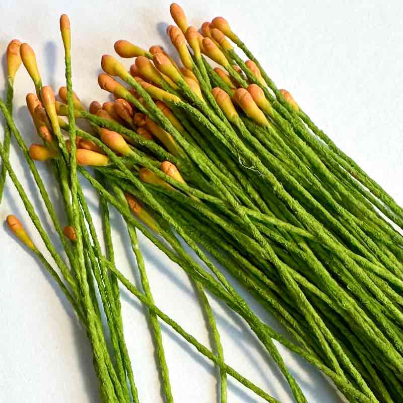 PISTILOS AMAPOLAS.JPG