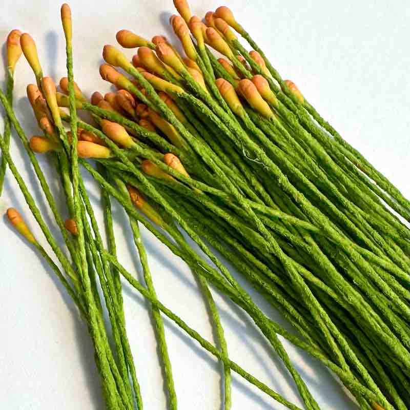 Curso Online Pistilos Artesanales - Imagen 3